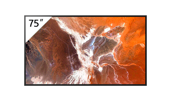 FW-75BZ30P 75英寸BRAVIA 4K HDR商用显示器