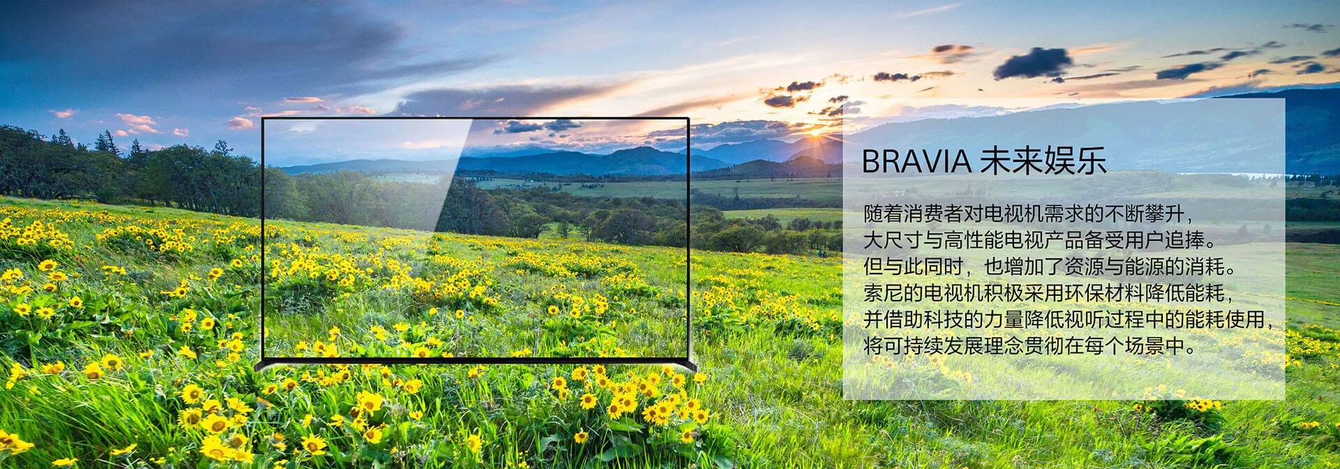 BRAVIA 未来娱乐