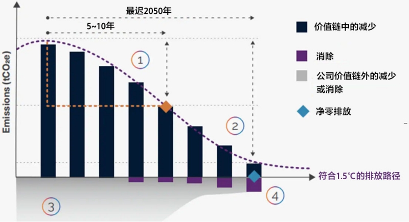 参考信息：SBTi批准的实现净零排放路线图