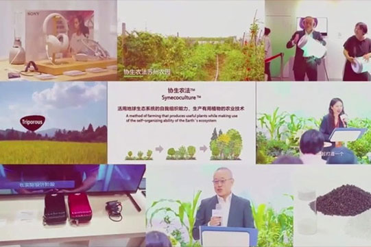 索尼在华可持续发展举措图片
