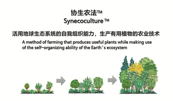 协生农法蔬菜品尝活动
