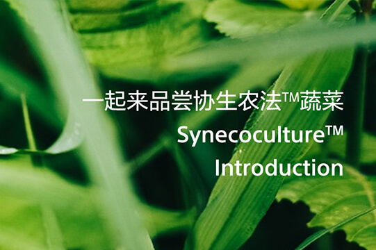 协生农法蔬菜品尝活动图片
