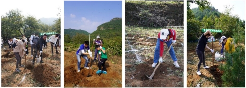 索尼碳汇林 助力零负荷-2020索尼北京地区志愿植树活动