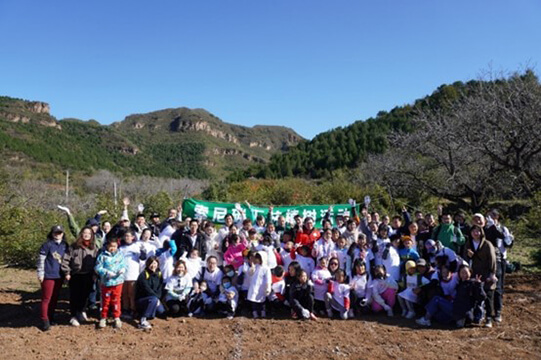 每人每年一棵树 绿山绿水绿山河图片