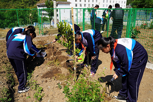 同学们在“协生农法实践园”的种植初体验