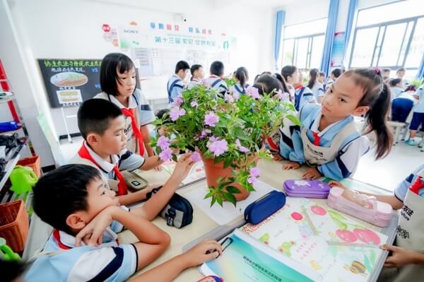 索尼中国专家讲授协生农法