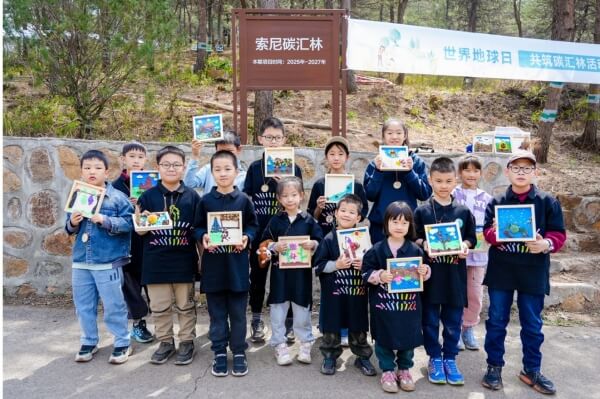 索尼碳汇林