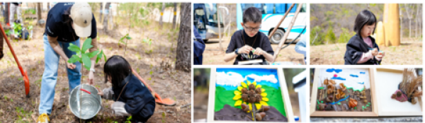 植树活动现场照片