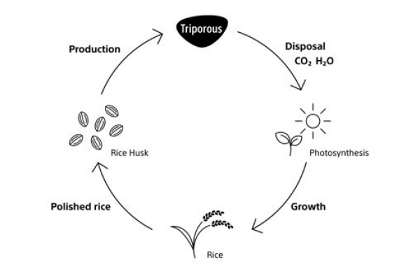 Triporous循环示意图：水稻通过光合作用生长、产生稻壳，，稻壳再被转化为Triporous