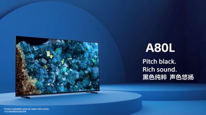 OLED电视 A80L