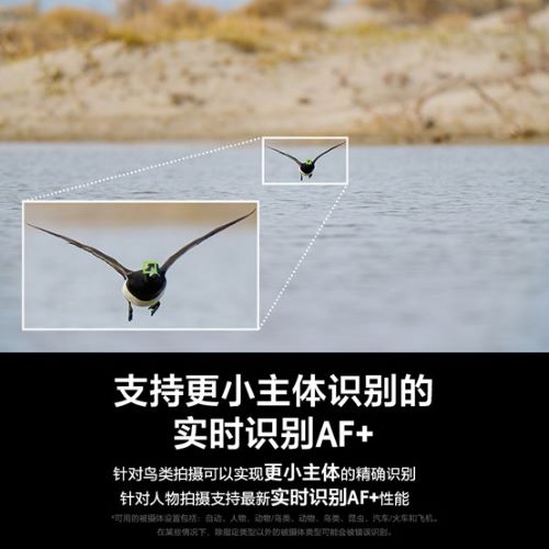 AI对焦再升级