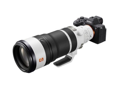 ILCE-7RM6+FE 100-400mm F4.5 GM OSS