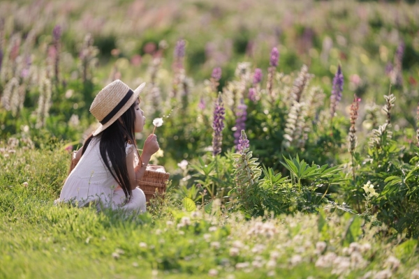 (“素光”Natural Light )