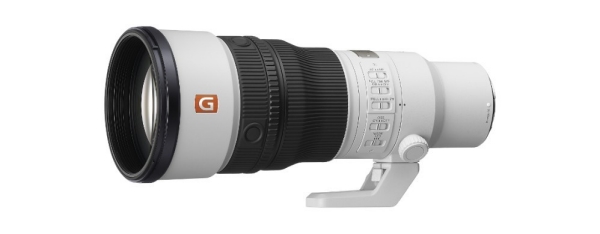 FE 600mm F6.3 GM OSS