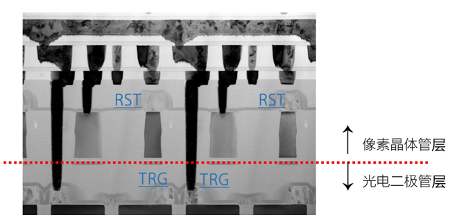 采用双层晶体管像素技术的CMOS图像传感器的横截面图片