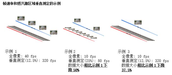 帧速率和感兴趣区域垂直测定的示例