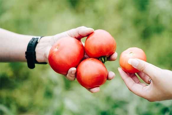 索尼员工启发活动【Food for the Future】