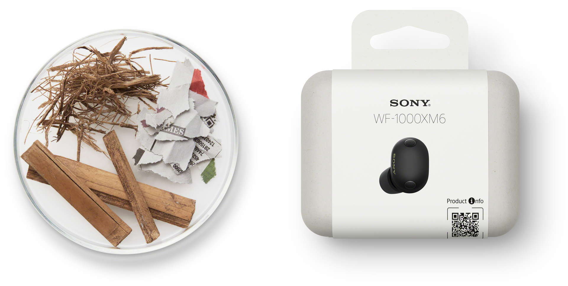 可持续发展的纸质材料