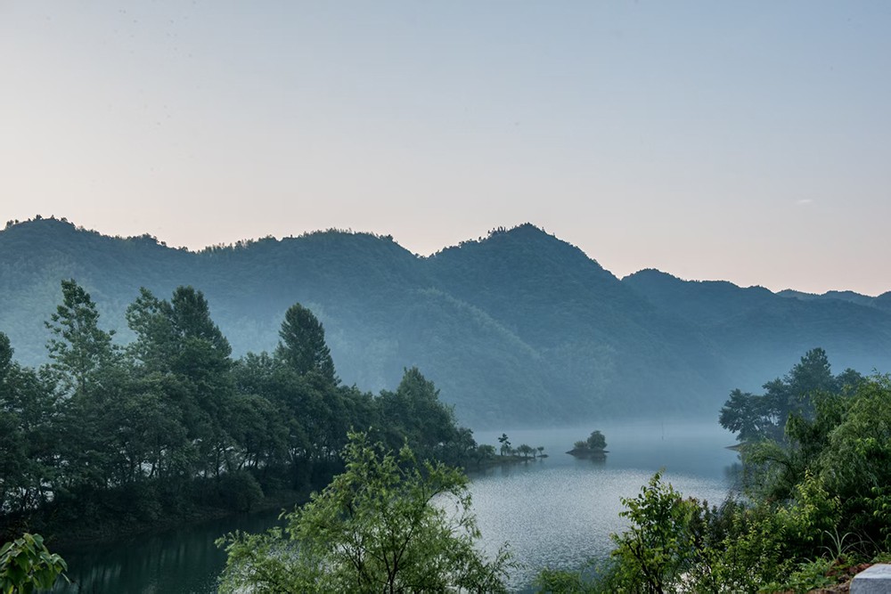协生农法茶园周边全景图