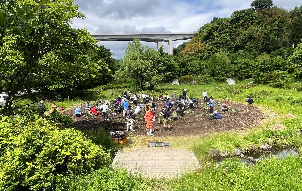 进一步普及协生农法知识