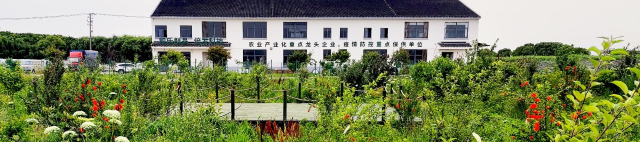 采访