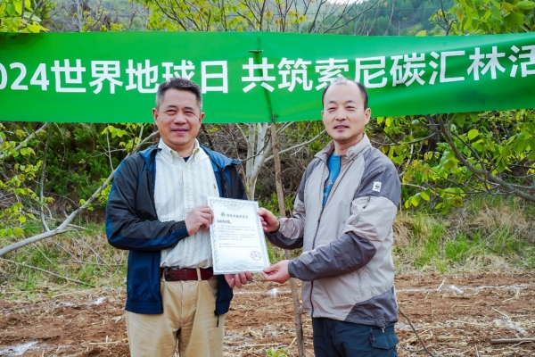 绿化未来 共筑碳汇林