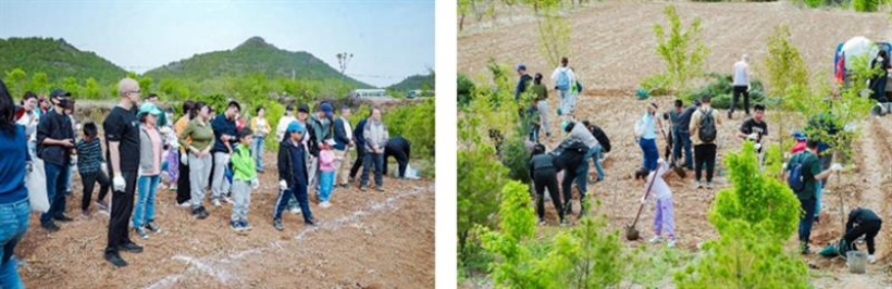 绿化未来 共筑碳汇林