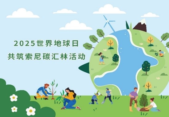 索尼碳汇林