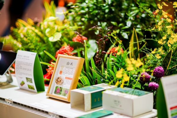 "协生农法"技术在茶叶和中草药等种植中得到应用