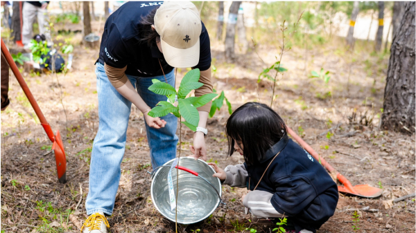 【微分享】2026索尼碳汇林项目: 一抹新绿，为地球充“植”