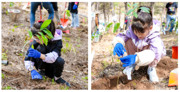 【微分享】2026索尼碳汇林项目: 一抹新绿，为地球充“植”