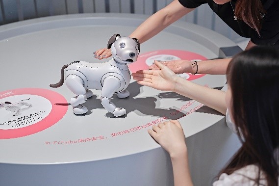 索尼探梦aibo展位上，参观者与奇奇（左图，男生）与梦梦（右图，女生）欢乐互动