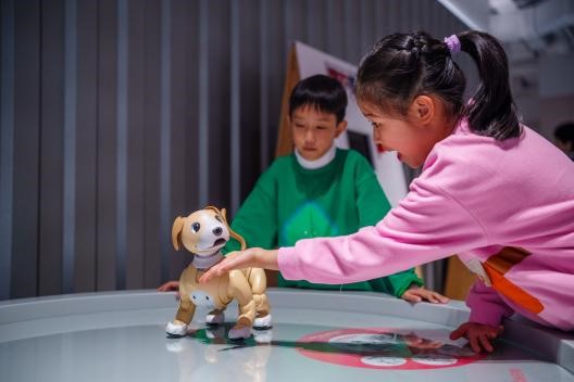 索尼探梦aibo展位上，参观者与奇奇（左图，男生）与梦梦（右图，女生）欢乐互动