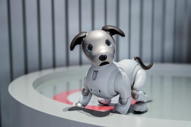 索尼aibo机器狗-奇奇（男生）