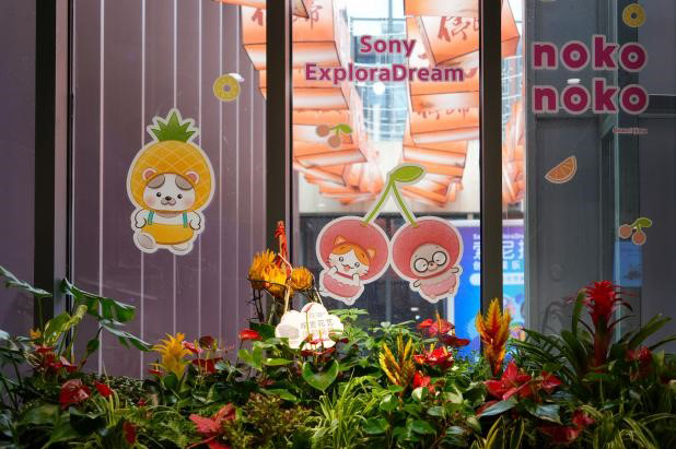 新晋顶流！“掌心小福神noko noko”空降索尼探梦，快来吸欧气！