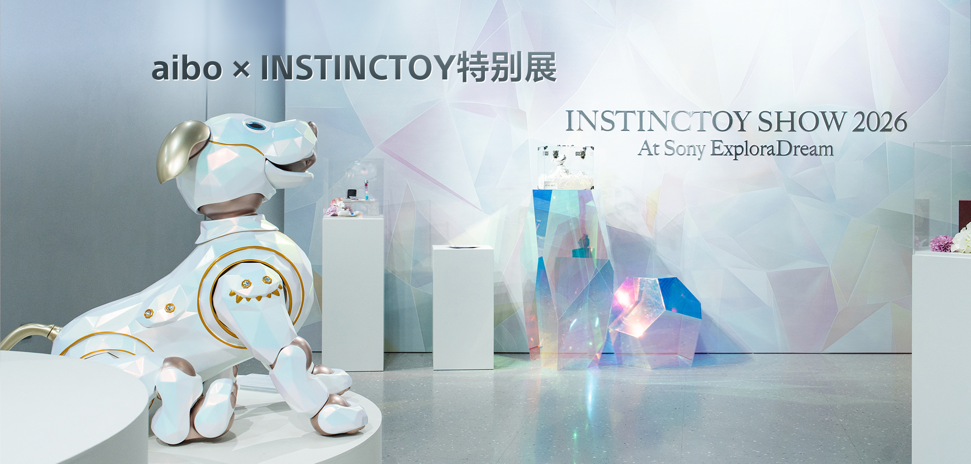 探梦无界 乐创未来