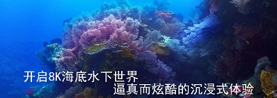 开启8kK海底水下世界